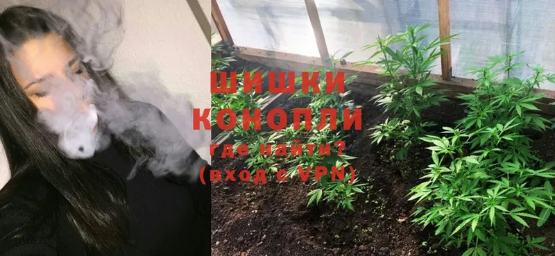 цены наркотик  Златоуст  Канабис THC 21% 